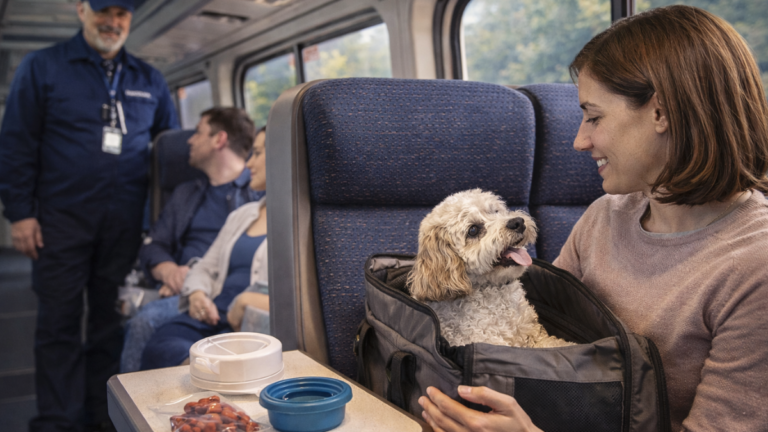 How to Travel on Amtrak Trains with a Dog