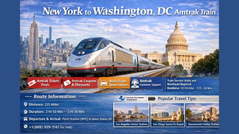 New York to Washington Dc Amtrak Train
