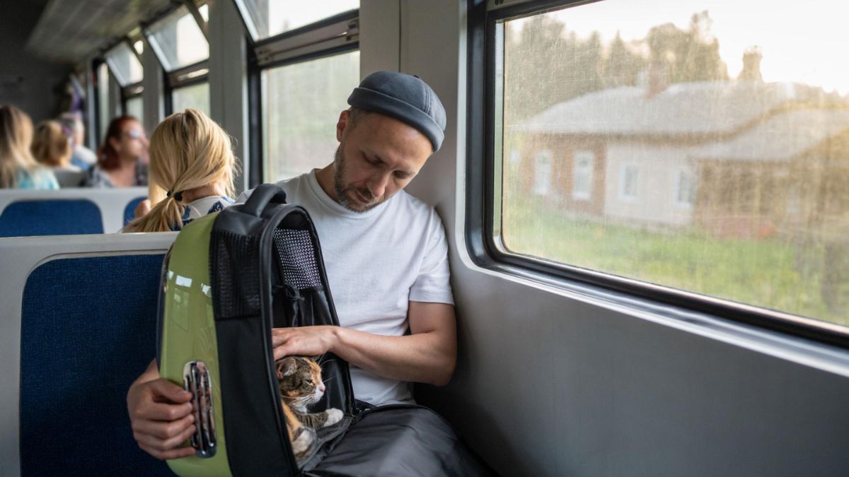 Traveling with Dogs on Amtrak Train